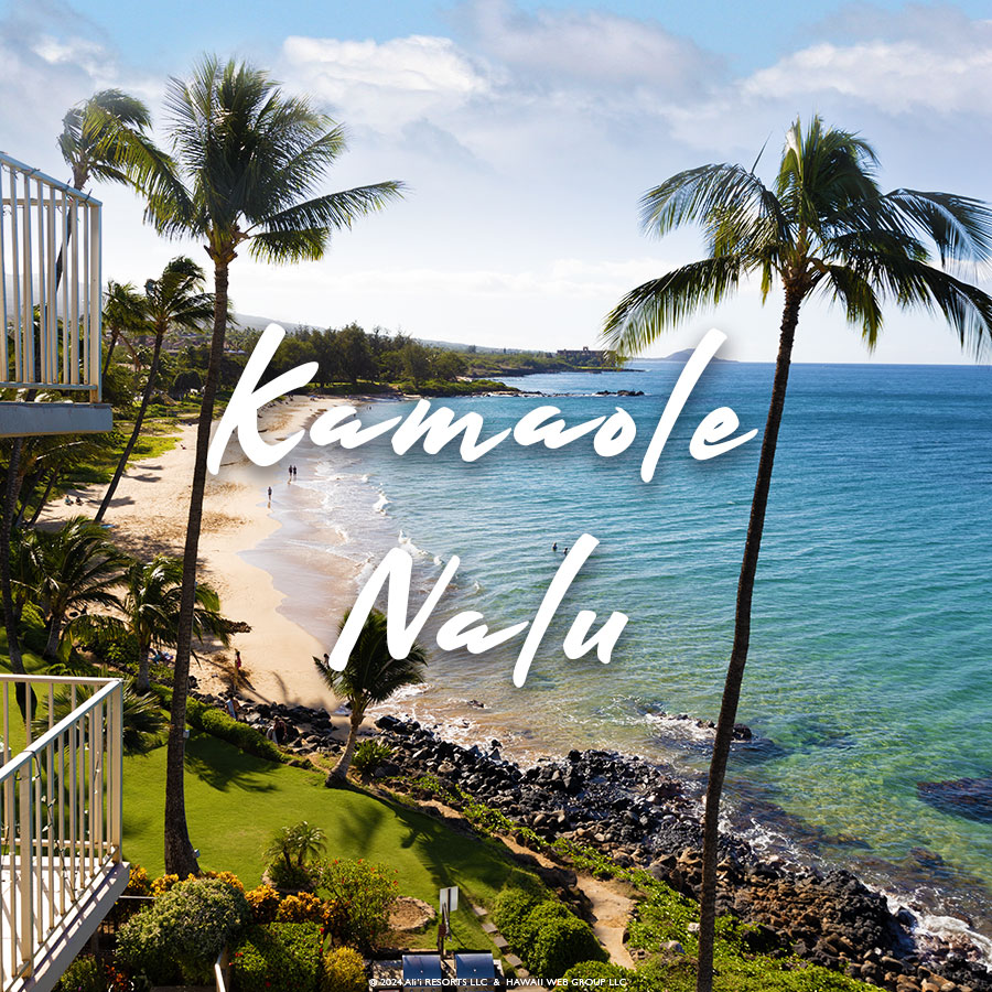 Kamaole Nalu Maui Hawaii