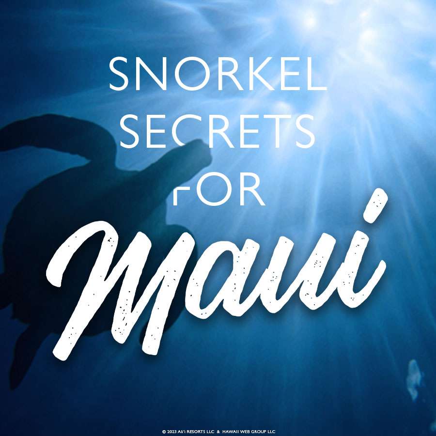Maui snorkel secrets