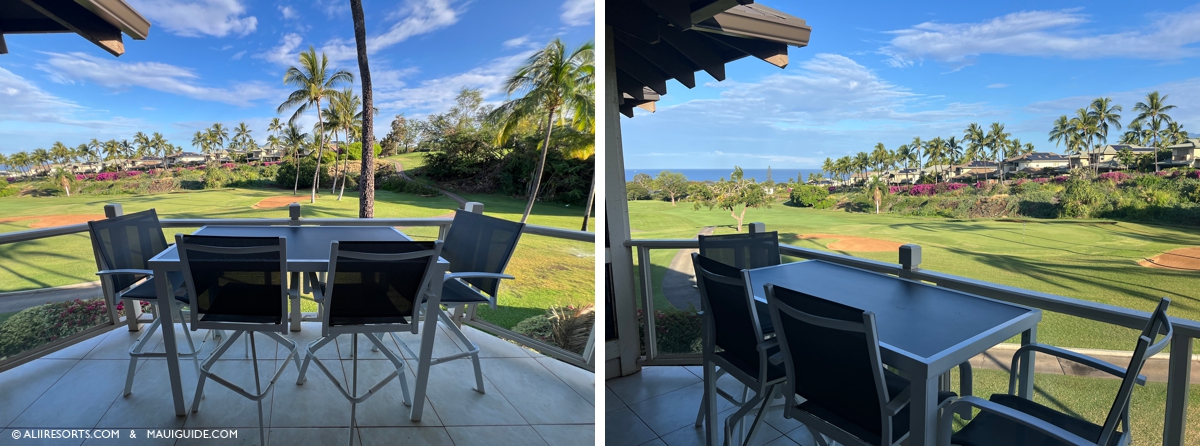 Grand Champions Views