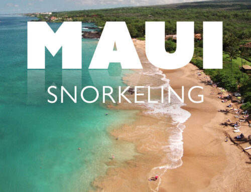 Top Maui Snorkeling Spots