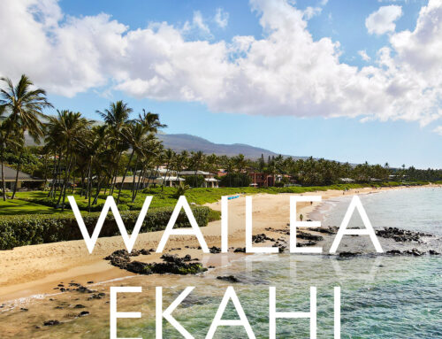 See what Wailea Ekahi Village has to offer in Maui