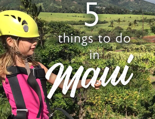 5 Top Things to Do In Maui