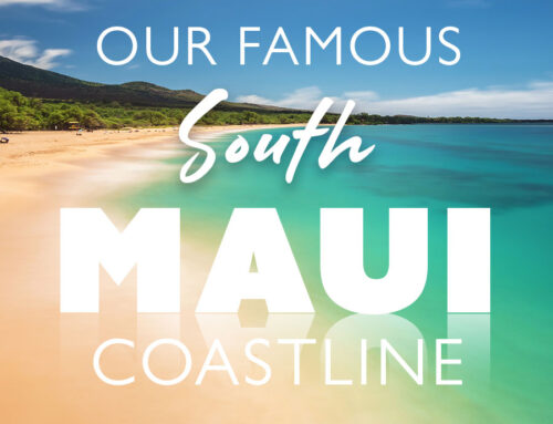 Famous South Maui Coastline