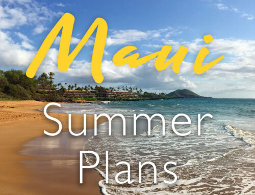 What’s the Best Time of Year to Visit Maui?