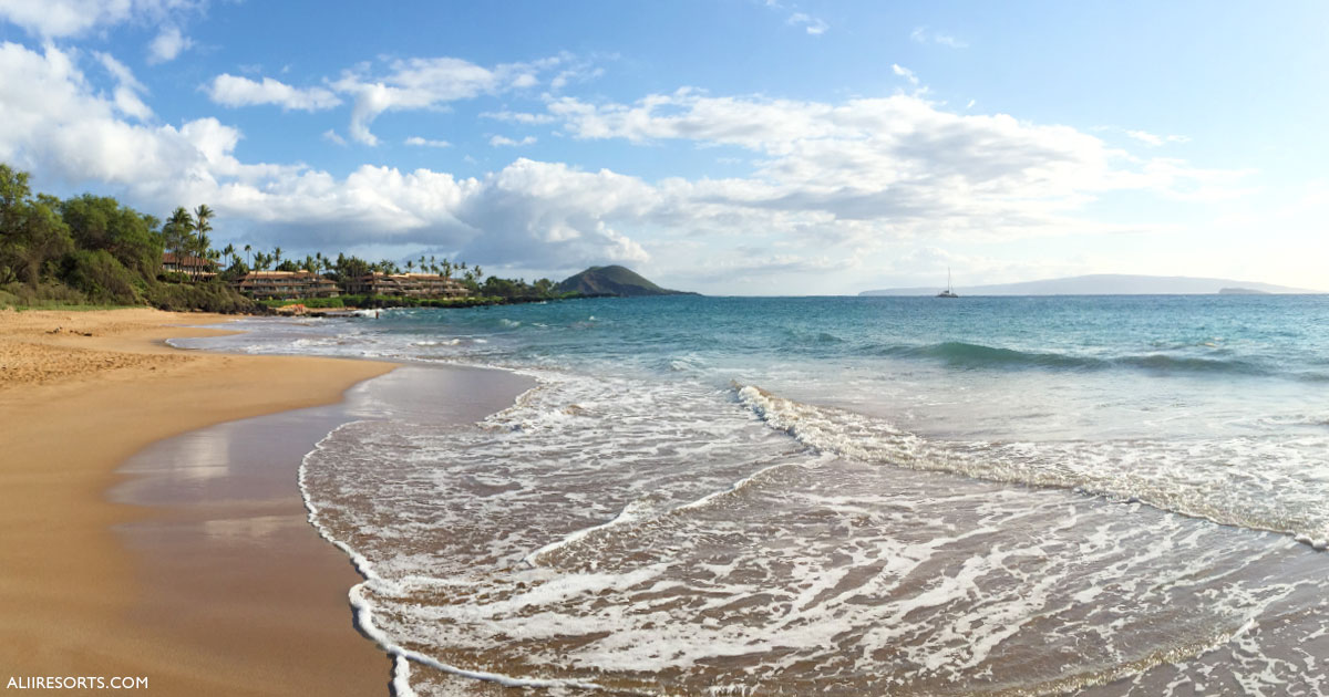 What's the Best Time of Year to Visit Maui? - Alii Resorts