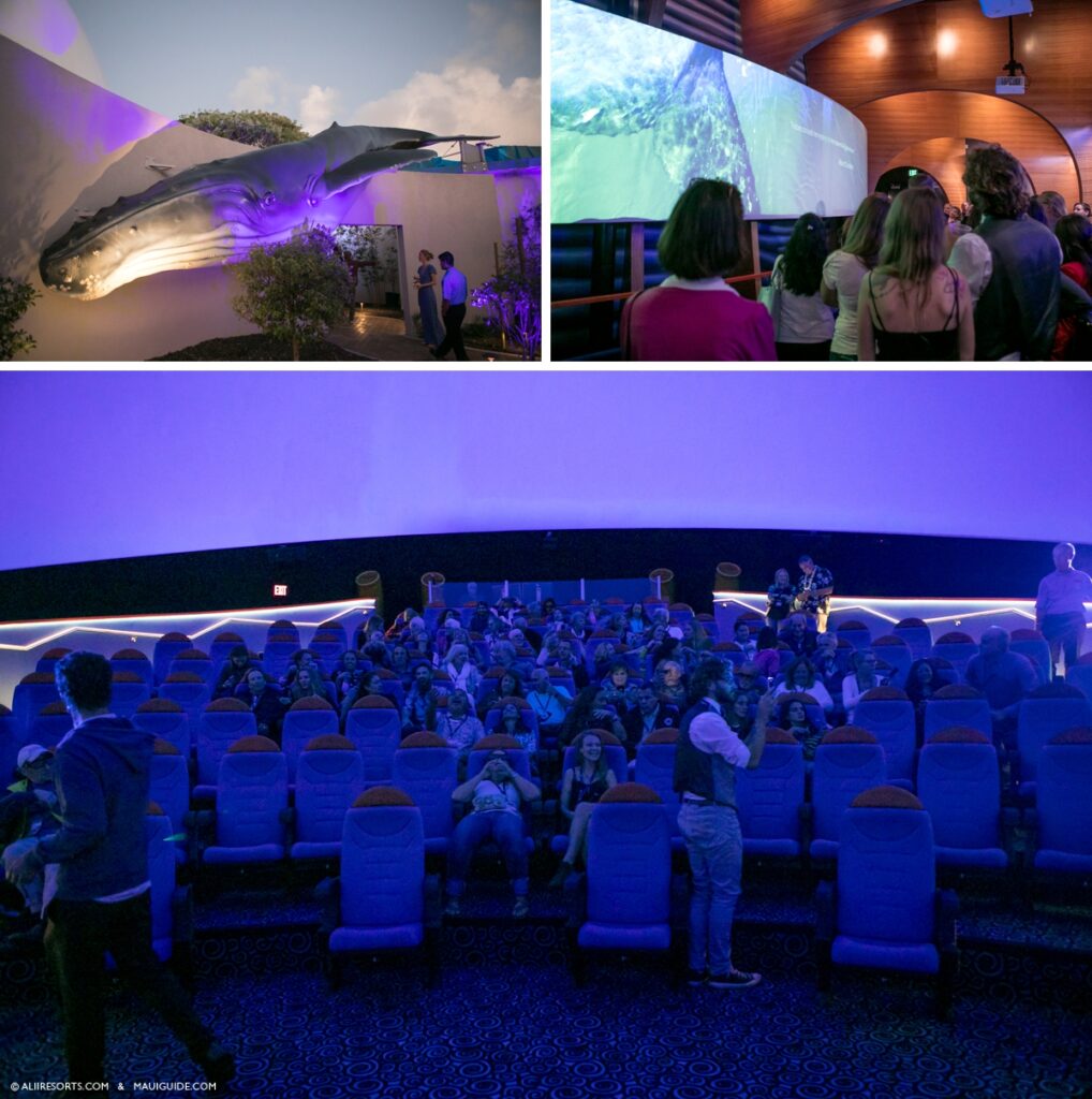 3D humpback theatre