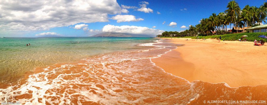 beauty of Maui