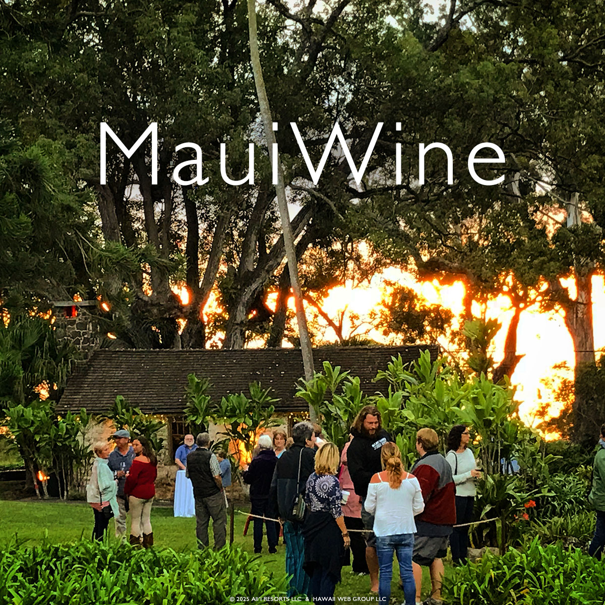 Maui Wine