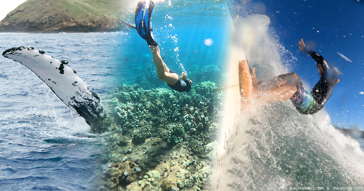 Maui water sports