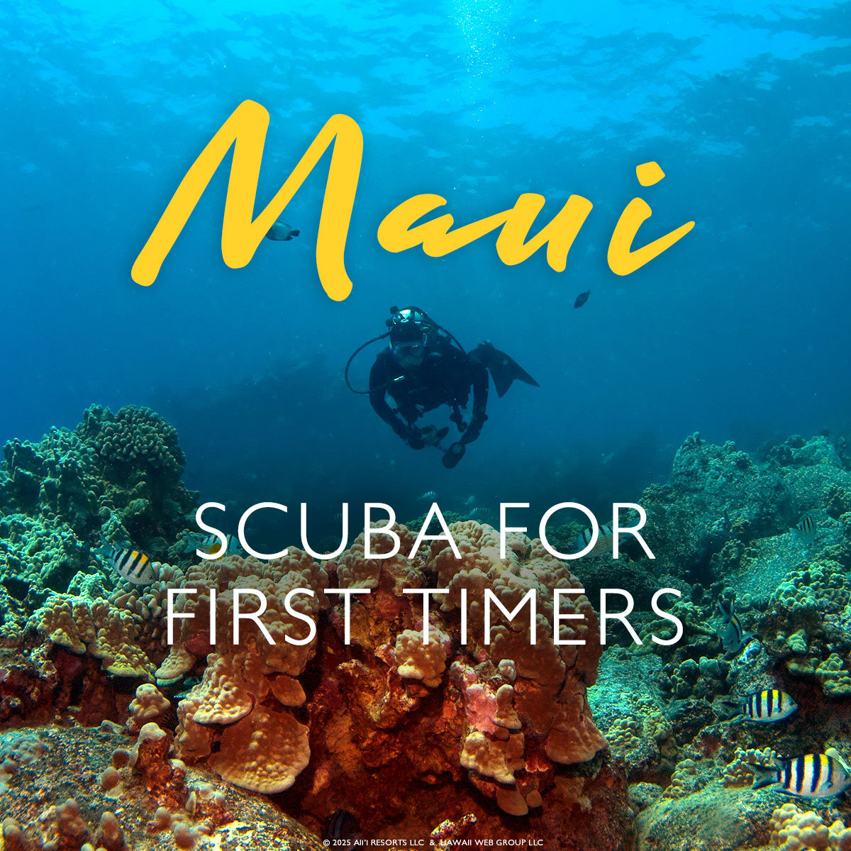 scuba diving in Hawaii