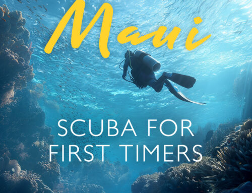 Get Out That Bucket List – It’s Time For Some Scuba Diving In Maui