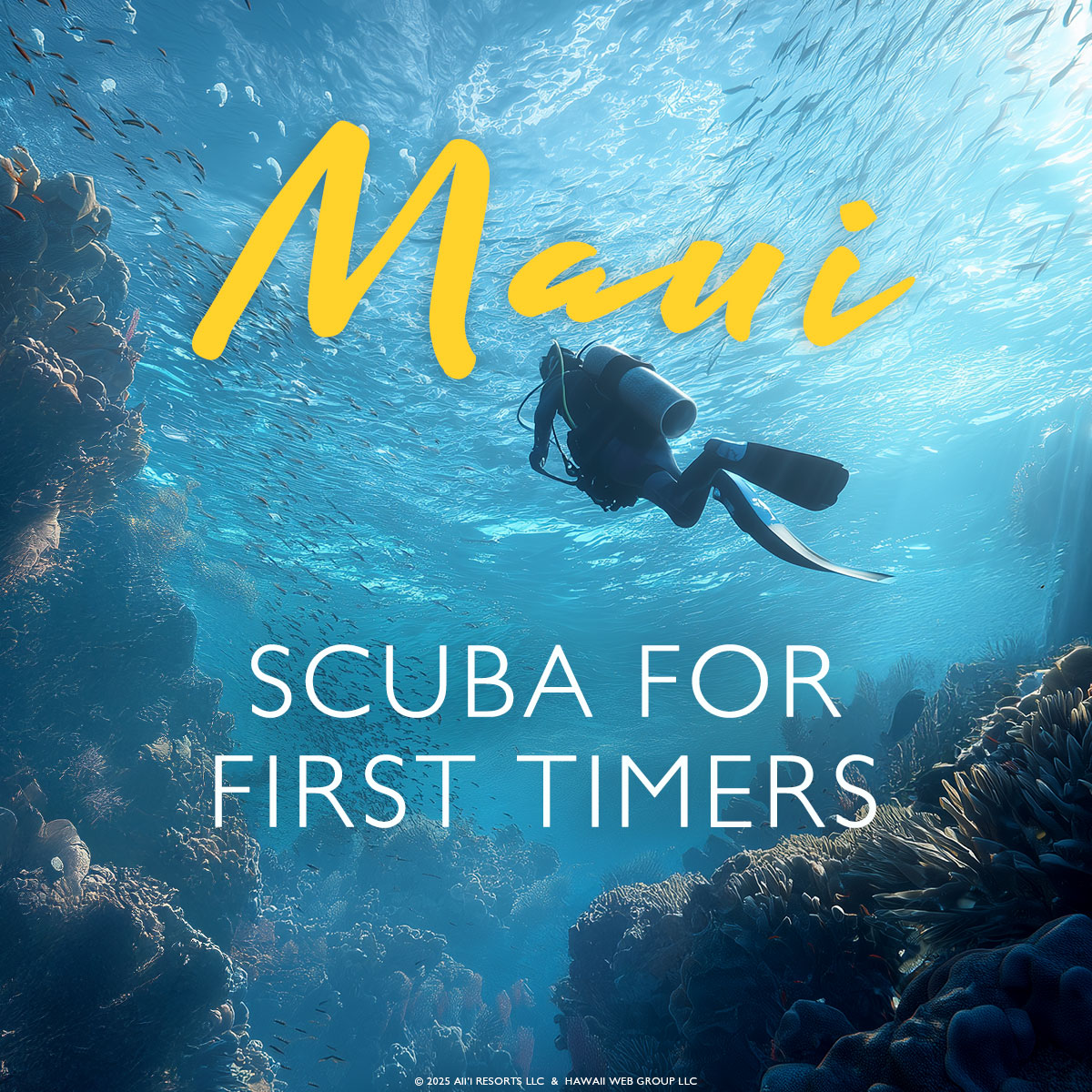 scuba diving instruction