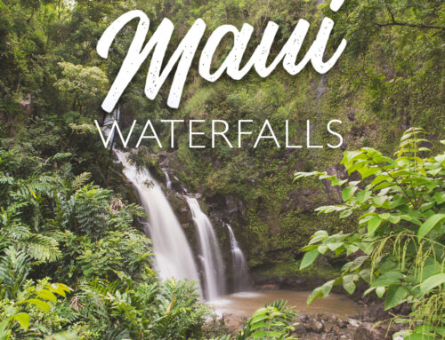 Some Favorite Maui Waterfalls