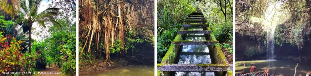 Twin Falls Maui
