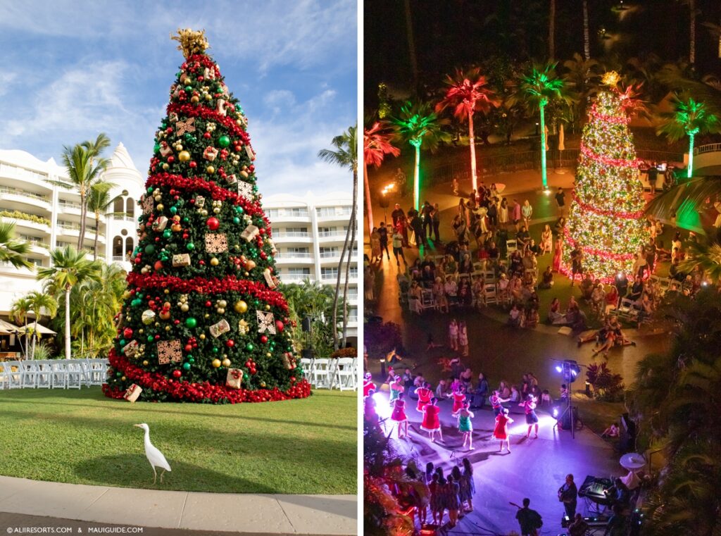 Christmas Tree Lighting Maui