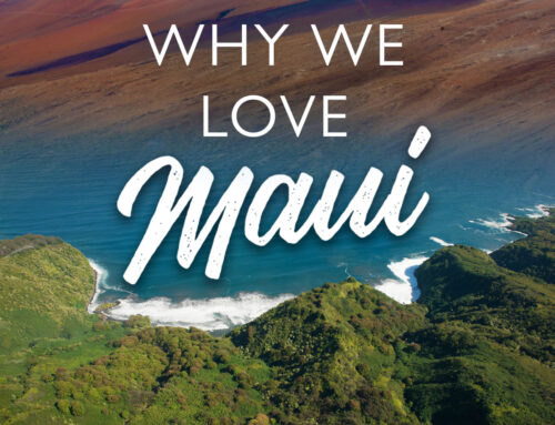 Here’s Why We Love Maui (And You Should, Too!)