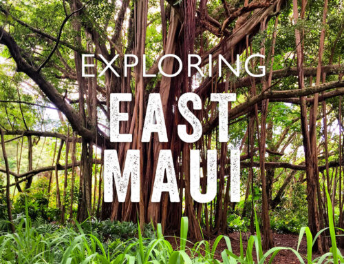Five Natural Wonders You Must Visit in East Maui