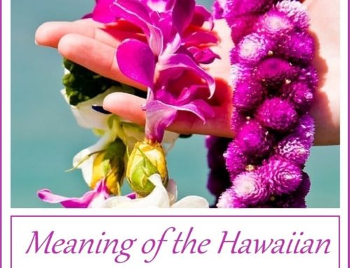 Meaning of the Hawaiian Lei