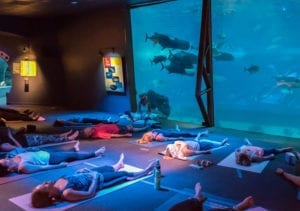 Aquari-OM @ Maui Ocean Center | Wailuku | Hawaii | United States