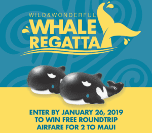 Wild & Wonderful Whale Regatta @ Pacific Whale Foundation