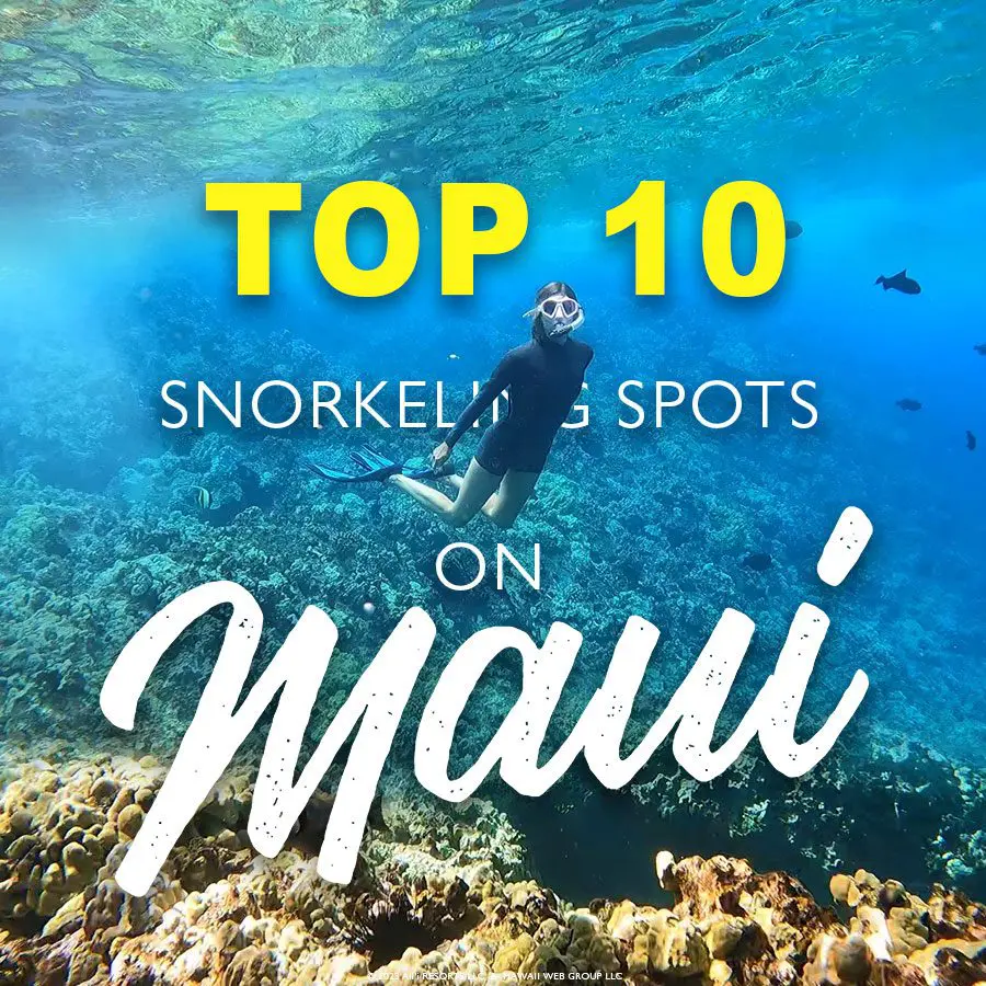 Top 10 Snorkeling Spots In Maui - Turtle Town, Molokini, Honolua