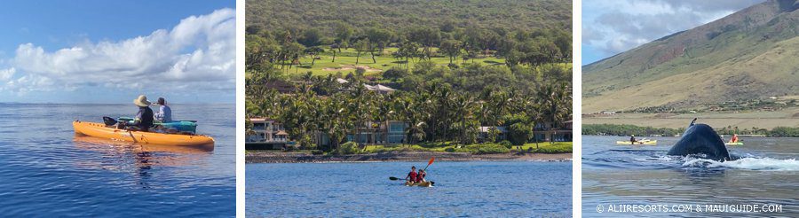 Maui Kayaking tours