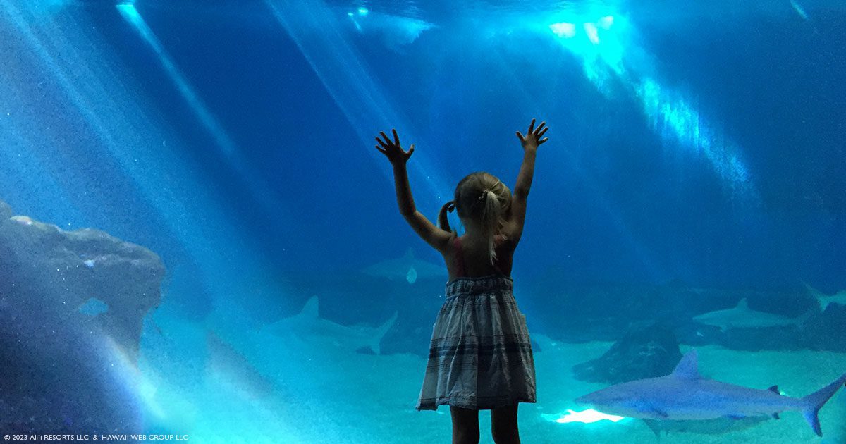 Maui Ocean Center, The Aquarium of Hawaii