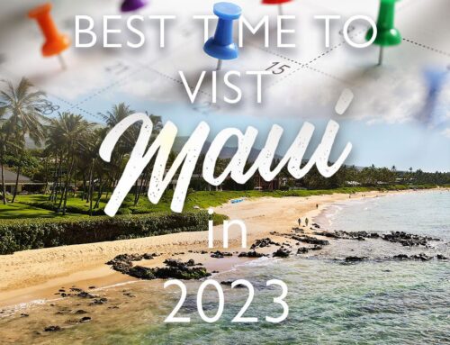 The Best Time To Visit Maui in 2023