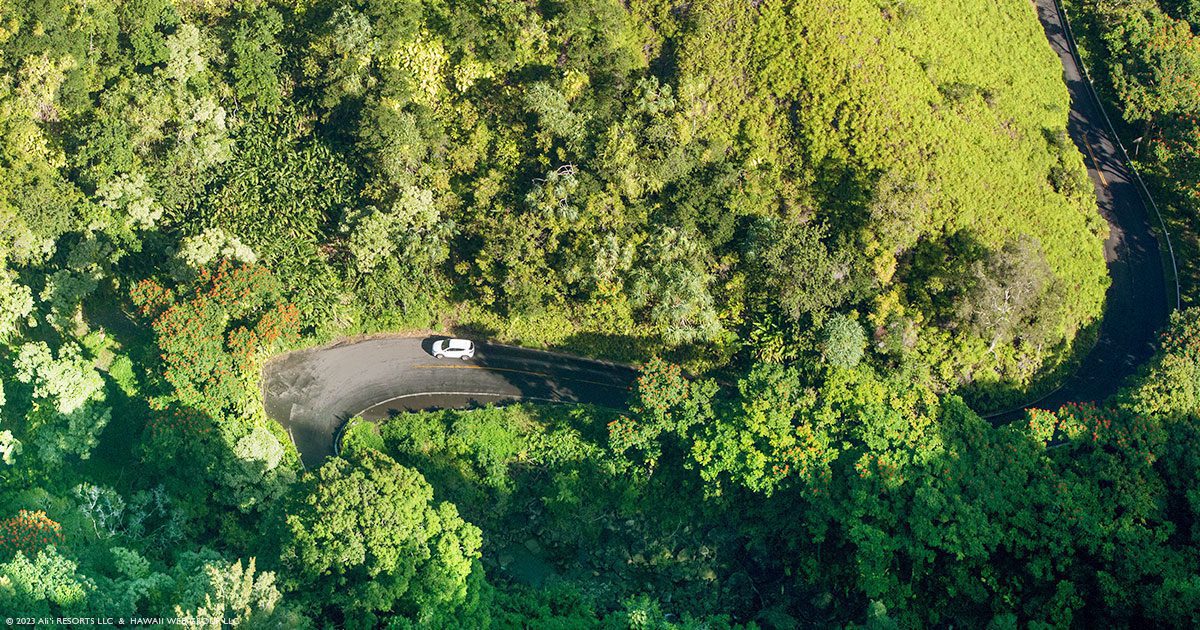 Renting A Car In Maui A Comprehensive Guide For 20232024