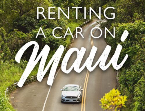 Renting A Car In Maui
