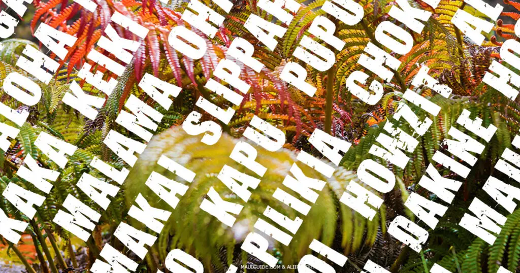 Hawaiian Pidgen Words