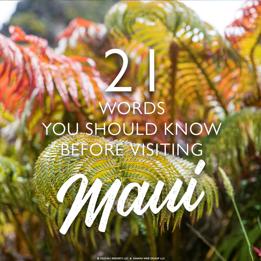 Maui words to know
