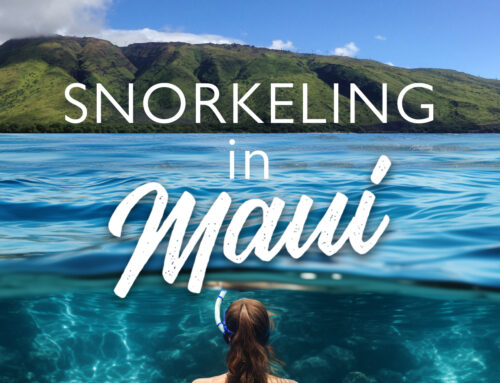 Snorkeling in Maui: A Comprehensive Guide