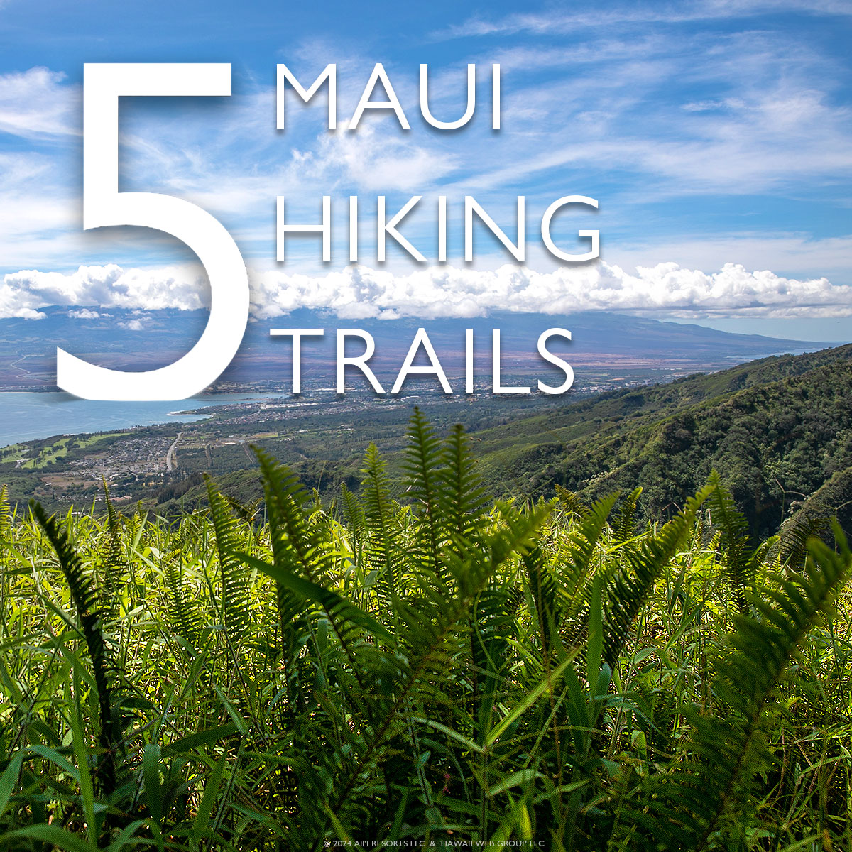 5 Maui hiking trails