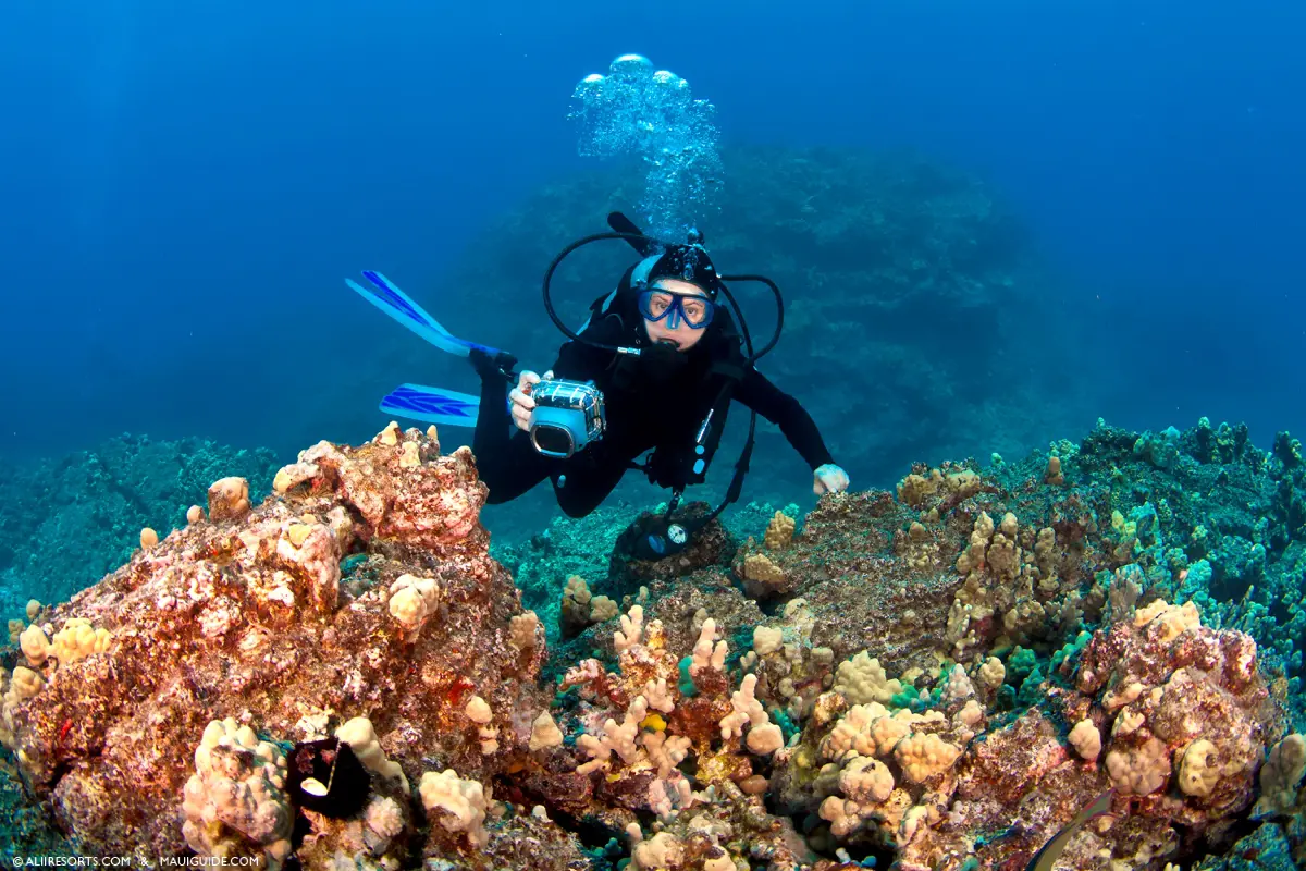 Maui scuba