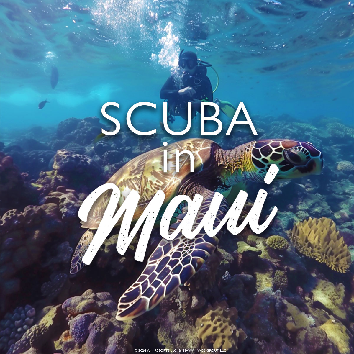 scuba diving in Maui