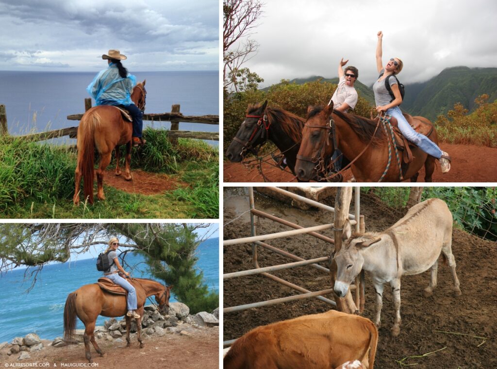 Maui horseback tour