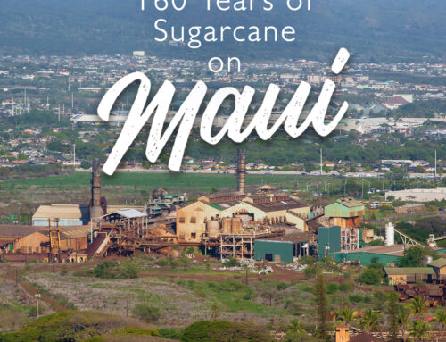 Maui’s Sugar Era