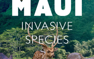 Hawaii Invasive Species